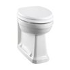Burlington Back to Wall Toilet & Soft Close Sand Seat - 480mm Projection