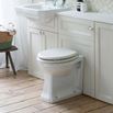 Burlington Back to Wall Toilet & Soft Close Dark Olive Seat - 480mm Projection