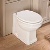 Butler & Rose Catherine Traditional Back to Wall Toilet - 520mm Projection