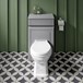 Butler & Rose Catherine Traditional Back to Wall Toilet - 520mm Projection
