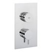 Crosswater Dial Kai Lever Concealed Thermostatic 1 Outlet Shower Valve - Portrait