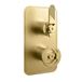 Crosswater Union 1 Outlet Concealed Thermostatic Shower Valve with Lever & Wheel - Brushed Brass
