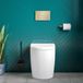 Harbour Clarity Back to Wall Toilet & Soft Close Seat - 525mm Projection