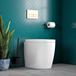 Harbour Clarity Back to Wall Toilet & Soft Close Seat - 525mm Projection