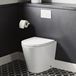 Harbour Clarity Back to Wall Rimless Toilet & Wrap Over Soft Close Seat
