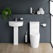 Harbour Clarity Fully Back to Wall Toilet & Soft Close Seat - 664mm Projection