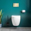 Harbour Clear Rimless Wall Hung Toilet & Soft Close Seat