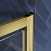Harbour i6 Easy Clean Brushed Brass 6mm Pivot Shower Door & Optional Side Panel