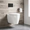Harbour Icon Wall Hung Toilet, Seat, Wall Hung Frame & Flush Plate - 505mm Projection