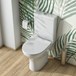 Harbour Identity Toilet & Wafer Thin Soft Close Seat - 590mm Projection