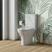 Harbour Identity Short-Projection Toilet & Soft Close Seat - 590mm Projection