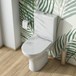 Harbour Identity Short-Projection Toilet & Soft Close Seat - 590mm Projection