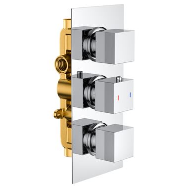 Harbour Status 2 Outlet Thermostatic Concealed Shower Valve