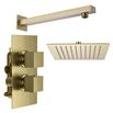 Harbour Status Brushed Brass Concealed Shower Valve, Fixed Shower Arm & Head