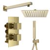 Habour Status Brushed Brass Shower Package with 2 Outlet Valve, Fixed Head & Arm and Wall Shower Kit