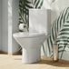 Harbour Identity Rimless Close Coupled Toilet & Wrap Over Soft Close Seat