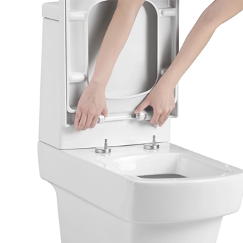 Imex Bloque Back to Wall Toilet with Luxury Seat