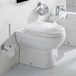 Pura Ivo Back to Wall Toilet & Seat - 500mm Projection
