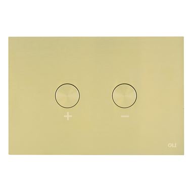 VOS Stainless Steel Pneumatic Flush Plate - Brushed Brass